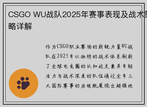 CSGO WU战队2025年赛事表现及战术策略详解